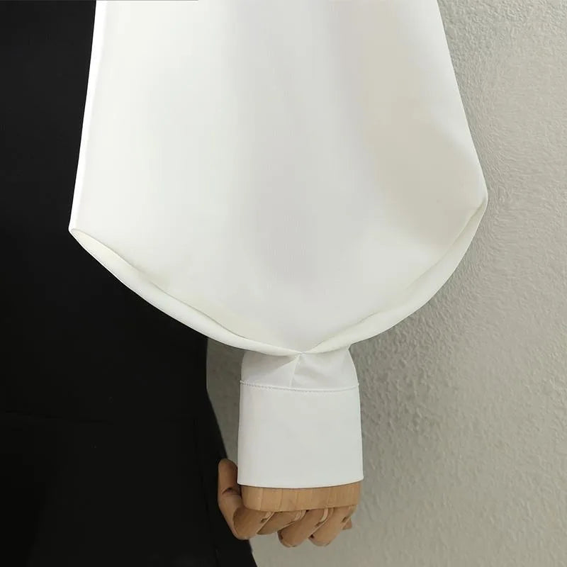 Blouses Tops Women White Black Long Lantern Sleeve Office Lady Temperament Autumn Winter Basic All-match Design Chic Female New
