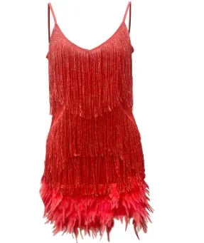 Luxury Tassel Fringed  Dress